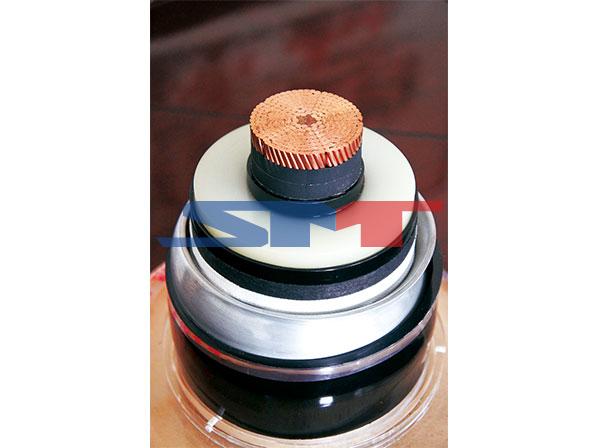 LBF铝包覆陆续挤压机